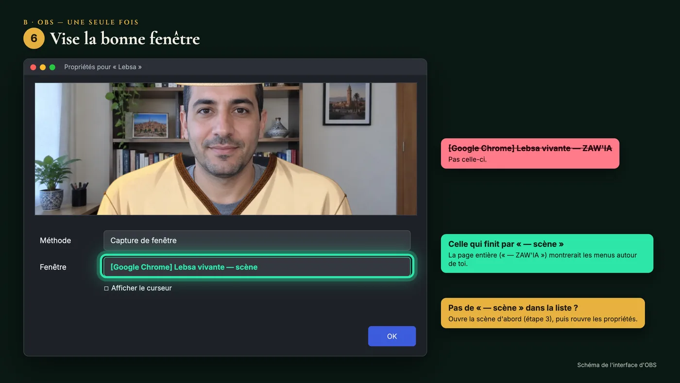 Les propriétés de la source : méthode Capture de fenêtre et fenêtre « Lebsa vivante — scène »