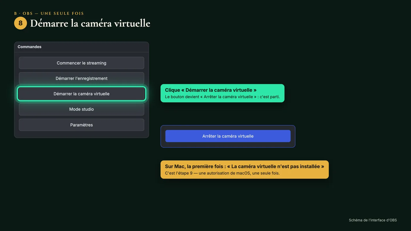 Le bouton « Démarrer la caméra virtuelle » dans le panneau Commandes